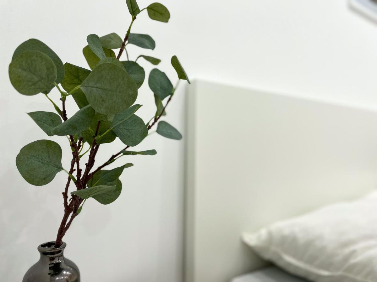 Ferienwohnung Schoenes Maifeld Polch エクステリア 写真
